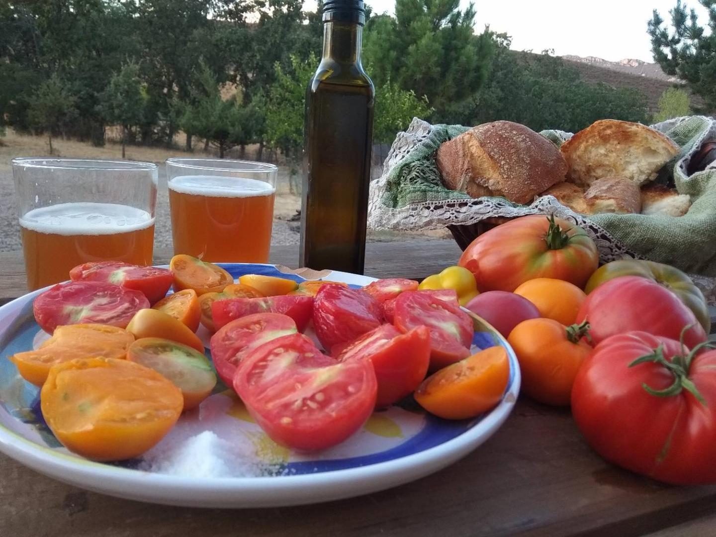 Navatrasierra Las Lucias, Experiencias De Ecoturismo المظهر الخارجي الصورة